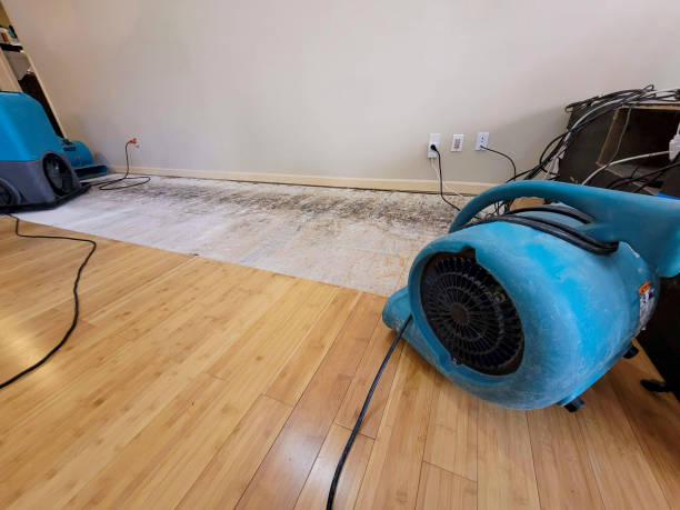 Professional Water Removal technician working in Hancock, ME